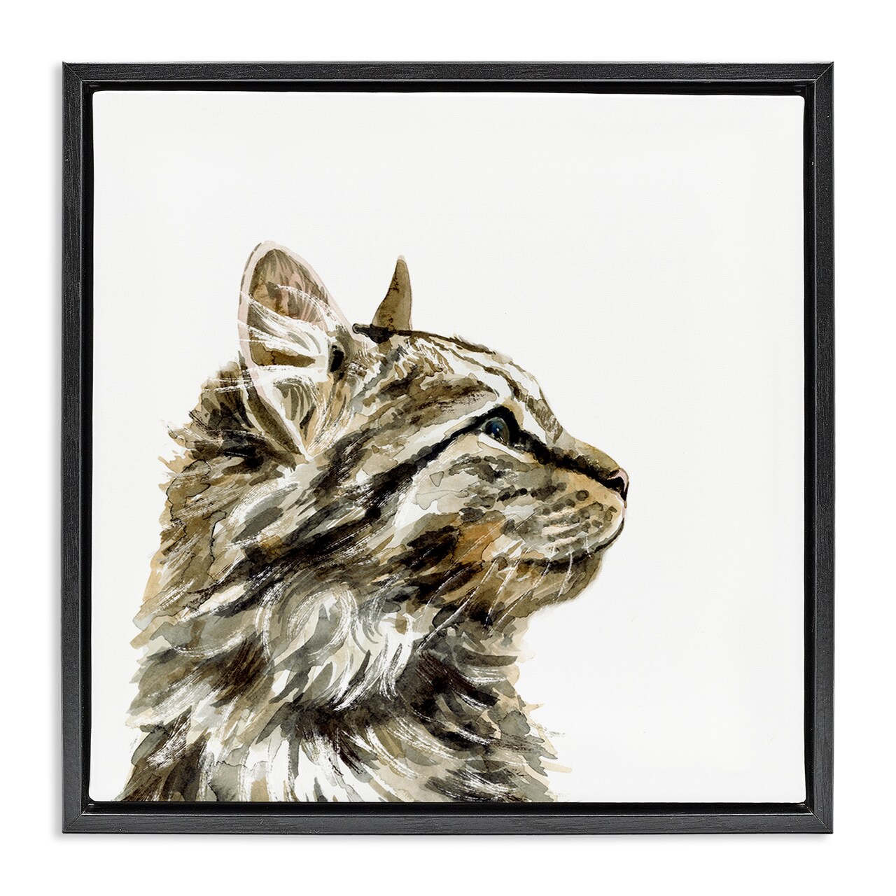 Stupell Industries Simple Tabby Cat Gaze Framed Floater Canvas Wall Art